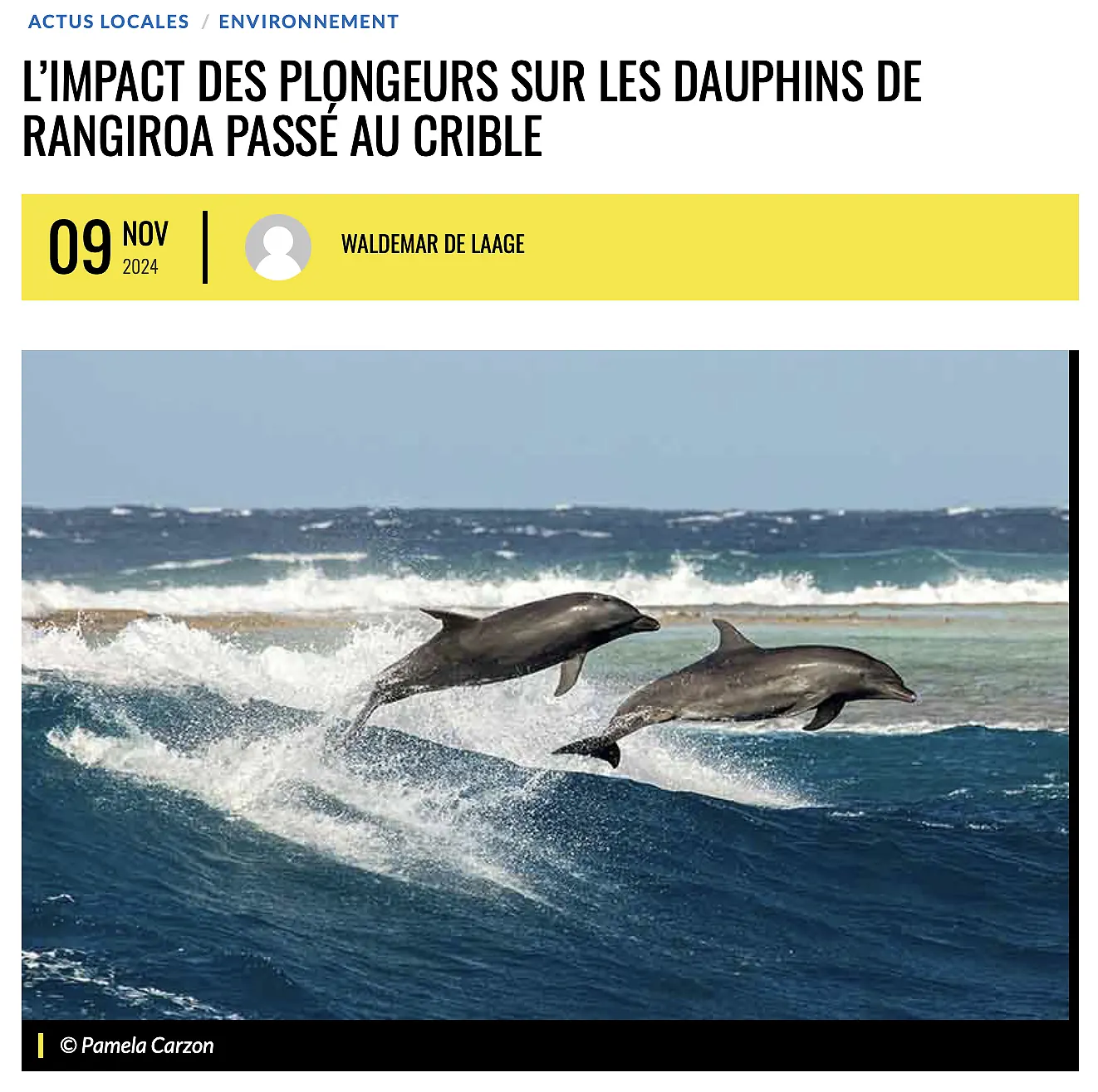 El impacto del turismo de buceo en los delfines nariz de botella de Rangiroa bajo la lupa