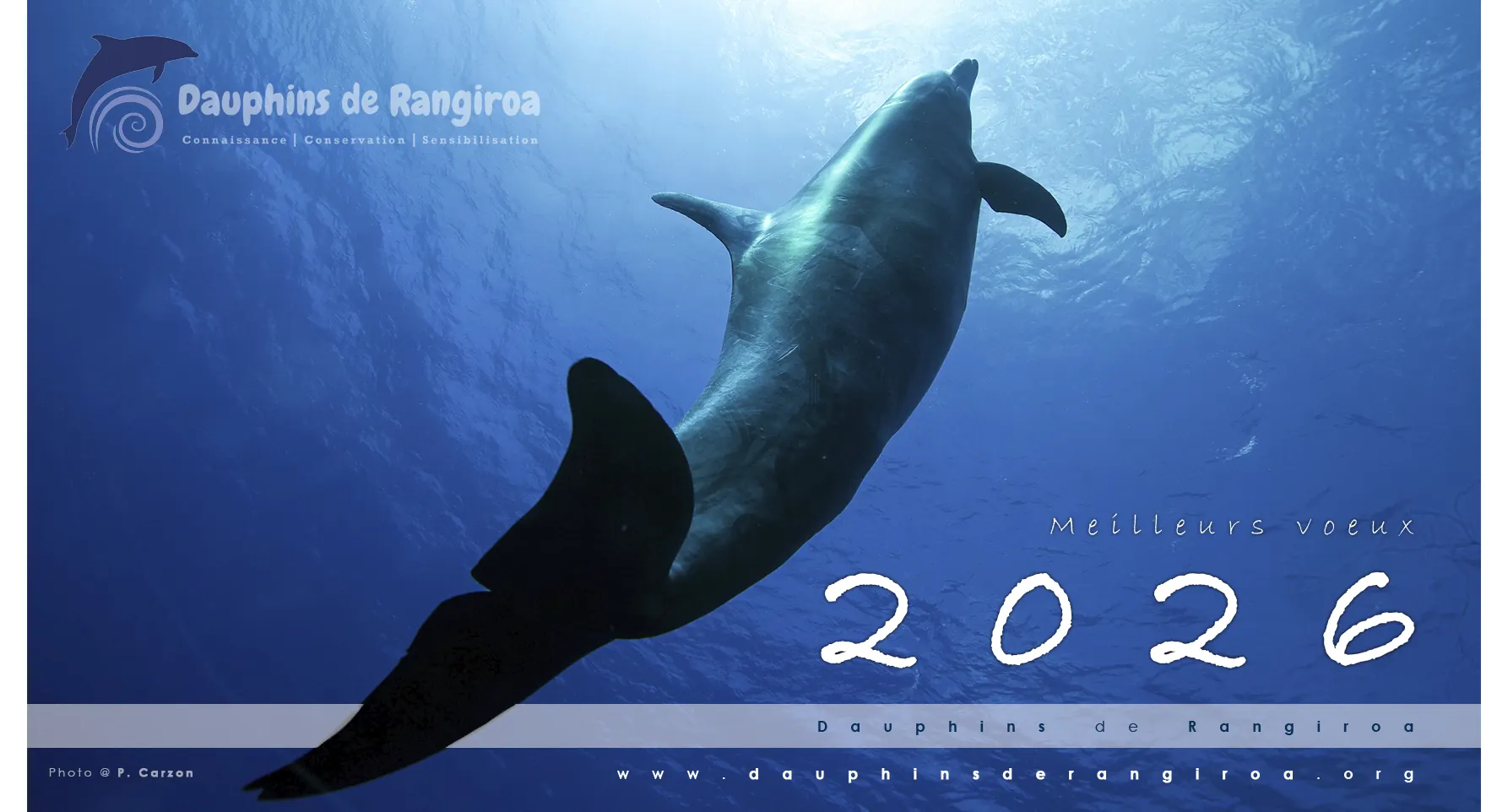 ¡La asociación “Dauphins de Rangiroa” les desea un excelente año 2026!