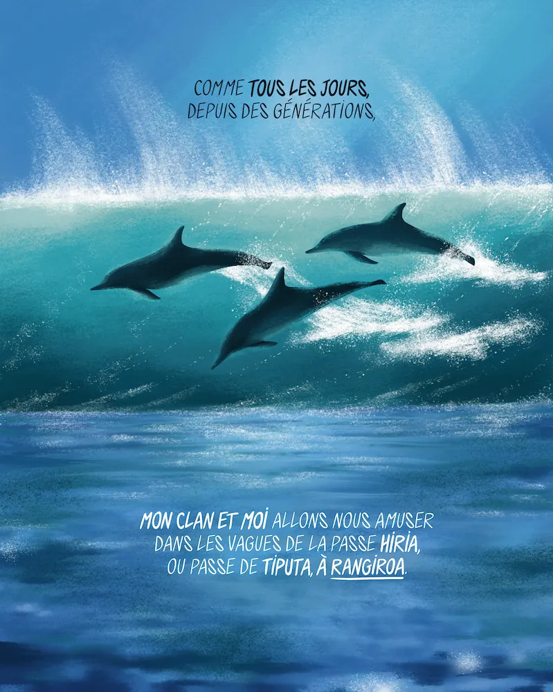 Notre collecte pour « Moana la dauphine » est close : le projet est financé ! 🐬