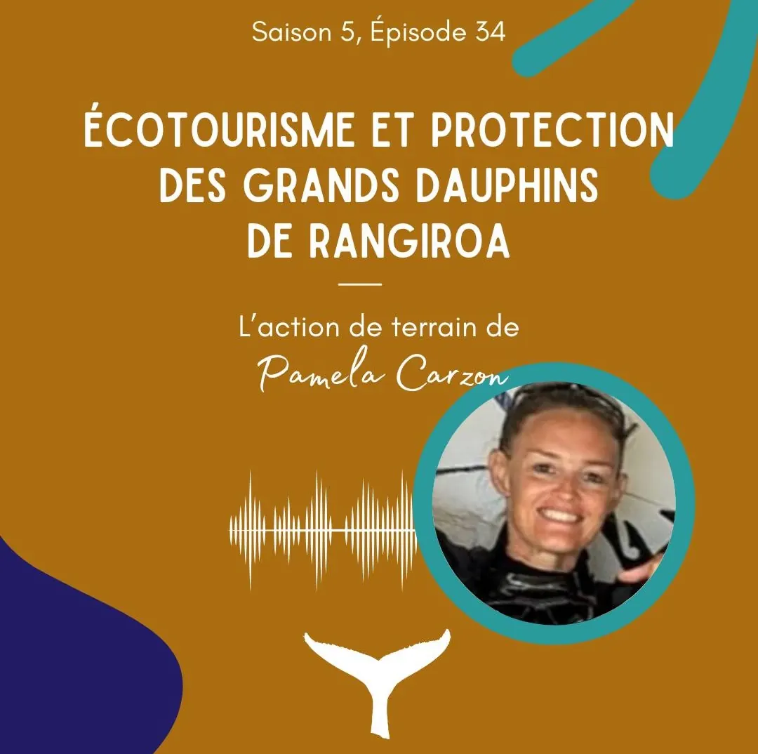 Podcast: ecoturismo y protección de los delfines mulares en Rangiroa