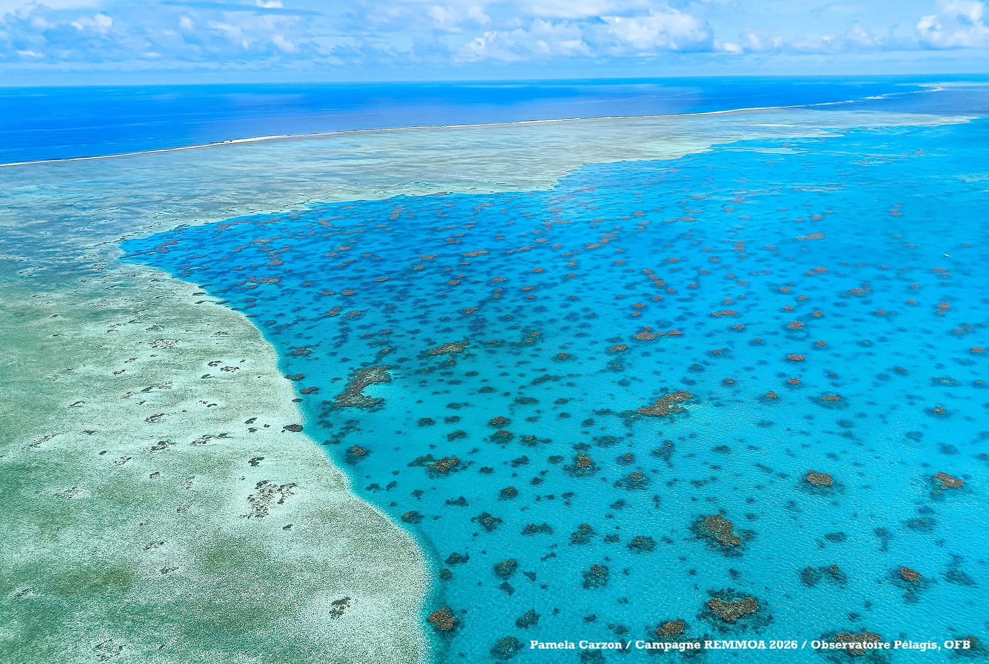 Des nouvelles de la campagne REMMOA II : départ des Australes, transit par la Société et installation aux Tuamotu